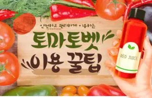 토마토벳 토토사이트