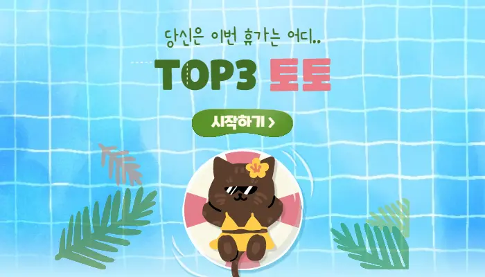 TOP3 토토