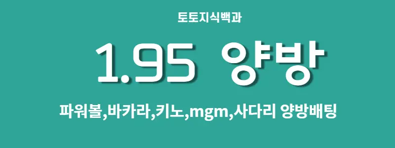 1.95 양방