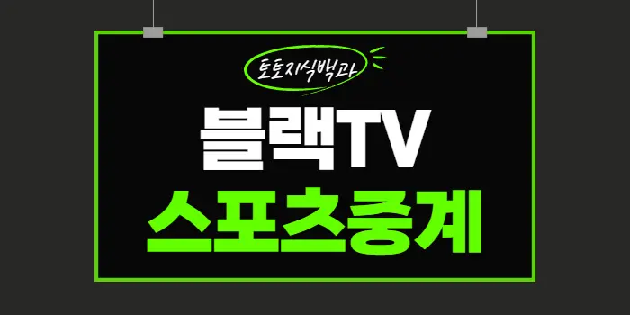 블랙TV