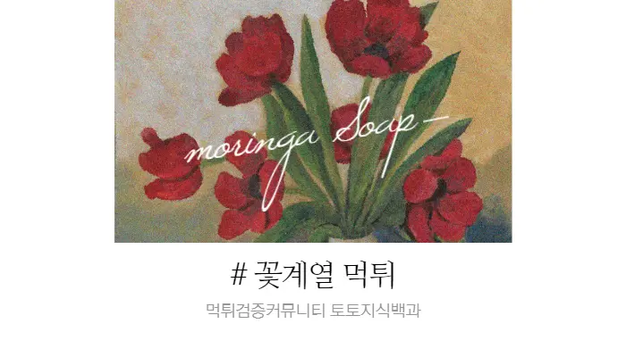 꽃계열 먹튀