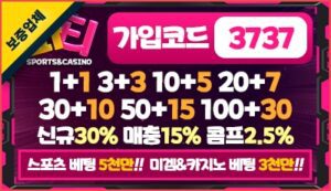 안전놀이터 파티벳