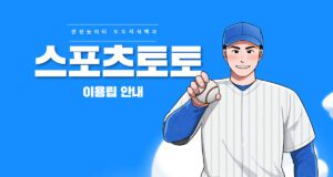 국내 정식 스포츠 토토 이용 가이드