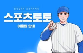 국내 정식 스포츠 토토 이용 가이드