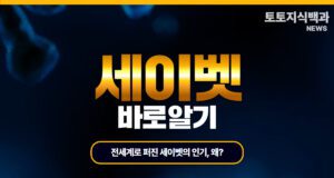 세이벳 토토사이트의 소개