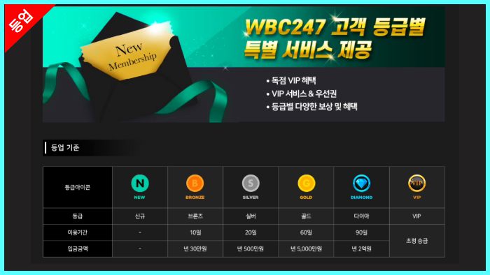 WBC VIP 혜택 등급