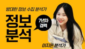 이지은 정보 분석가
