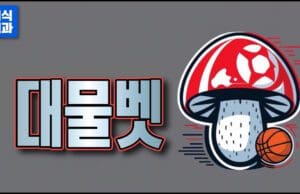 대물벳 토토사이트 안전 검증 리포트 대물벳 토토사이트
