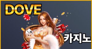 도브카지노 이용 안내