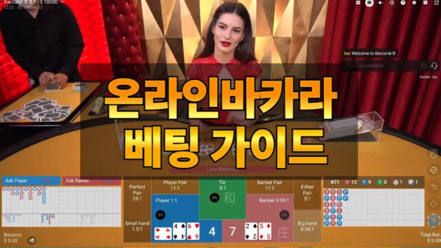 온라인바카라 베팅 가이드