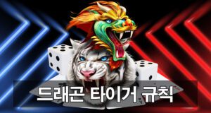 드래곤 타이거 규칙 및 이용법 소개