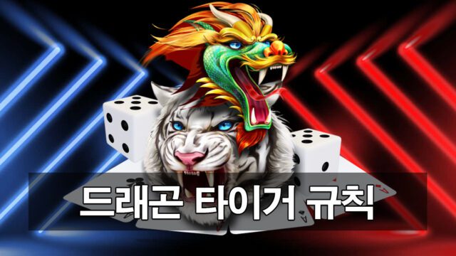 드래곤 타이거 규칙 및 이용법 소개