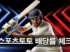 스포츠토토 배당률 기본 가이드
