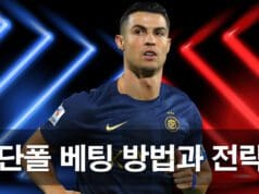 단폴 베팅 완벽 가이드: 초보자부터 고수까지 모두를 위한 전문 분석 단폴-베팅-방법과-전략-가이드