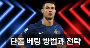 단폴-베팅-방법과-전략-가이드