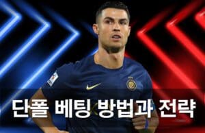 단폴 베팅 완벽 가이드: 초보자부터 고수까지 모두를 위한 전문 분석 단폴-베팅-방법과-전략-가이드