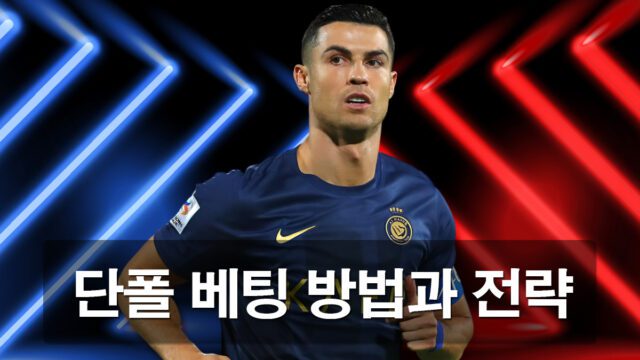 단폴-베팅-방법과-전략-가이드