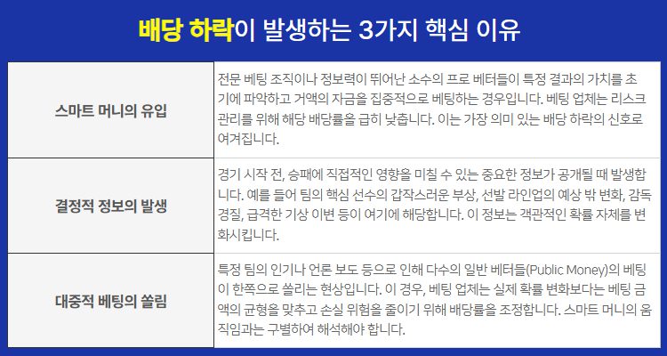 배당률 하락이 발생하는 3가지 핵심 이유 안내 표